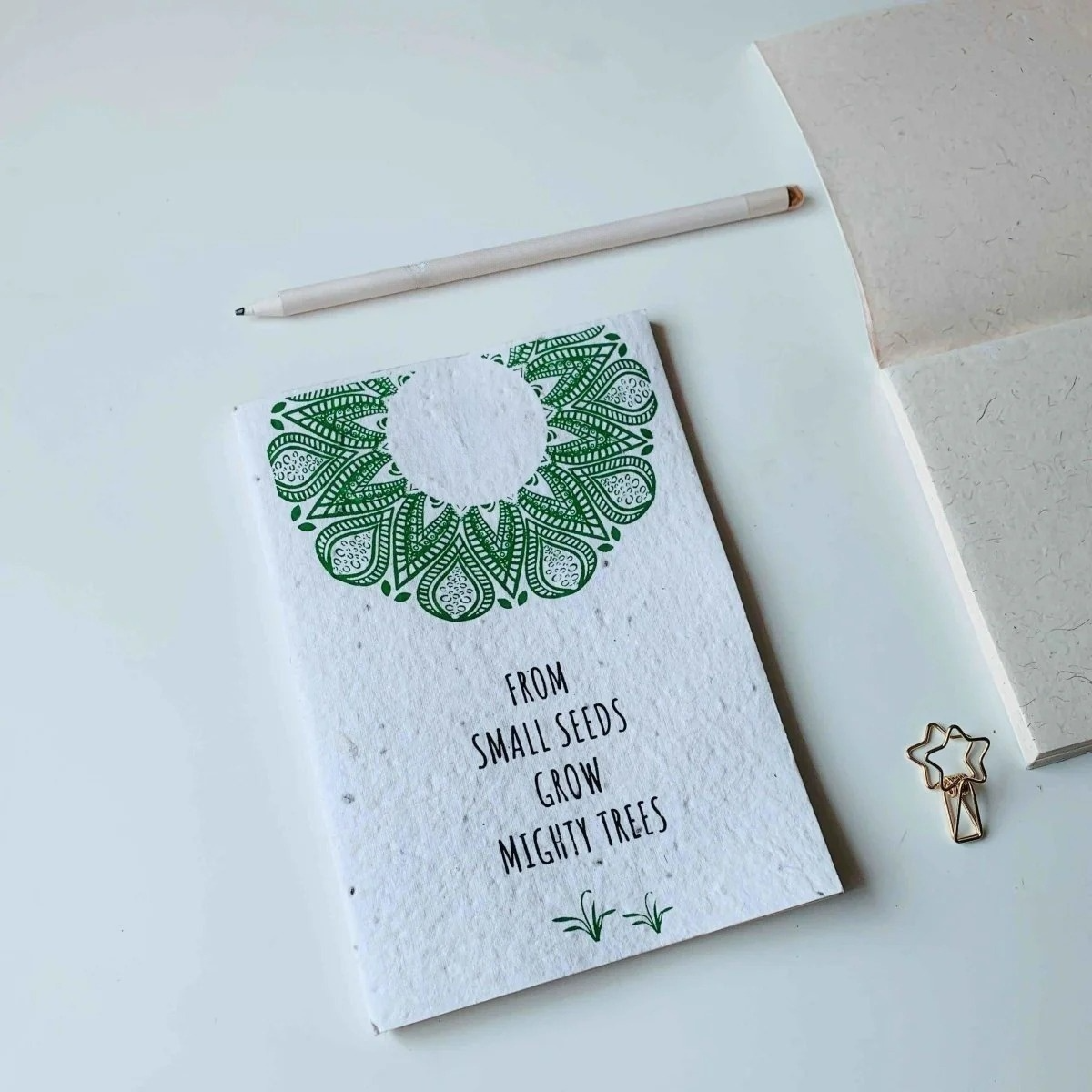Seed Notebook